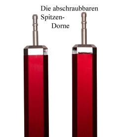 EOE Steip 300 Teleskop-Tarpstange -Ausgewählte Campingausrüstungsgeschäfte Steip Spitze